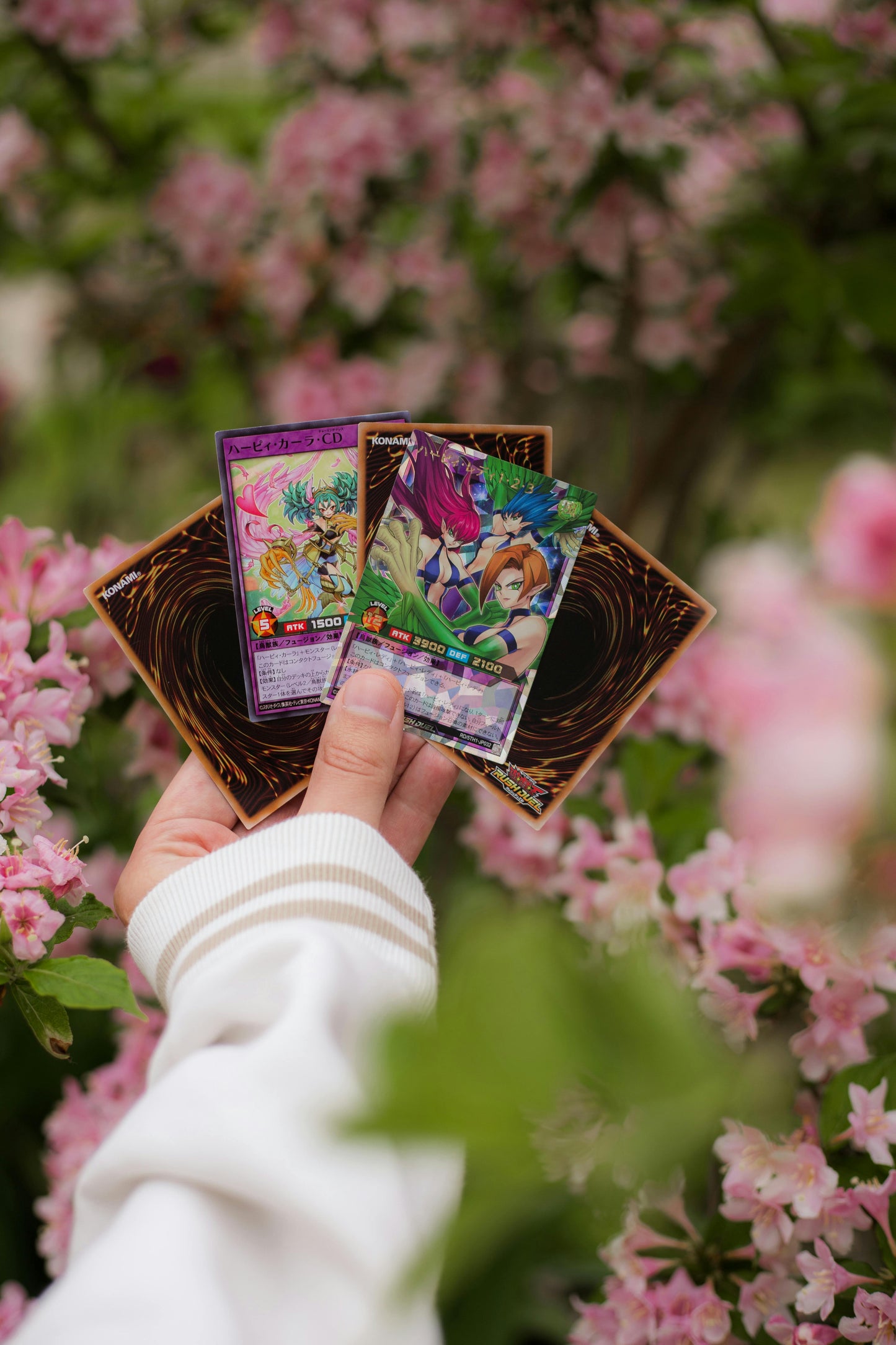 Card Restoration - 5 Cards Save $50